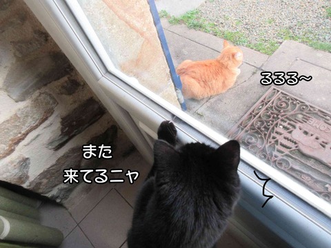 雨　2