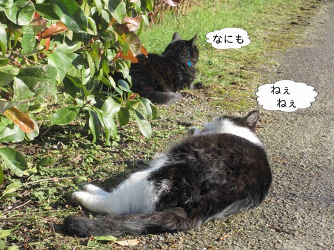 くじら　8