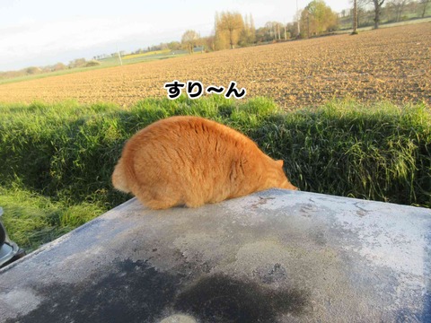落ちない 1