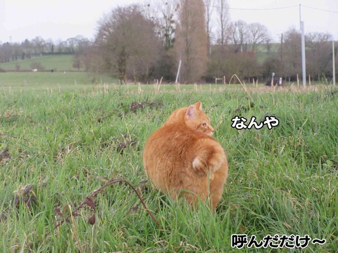 茶っちゃん 2