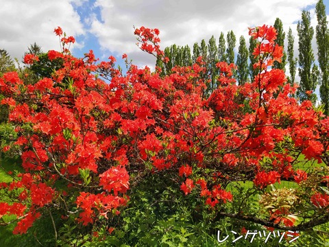 芸術とは　7