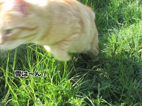 びよーん 7