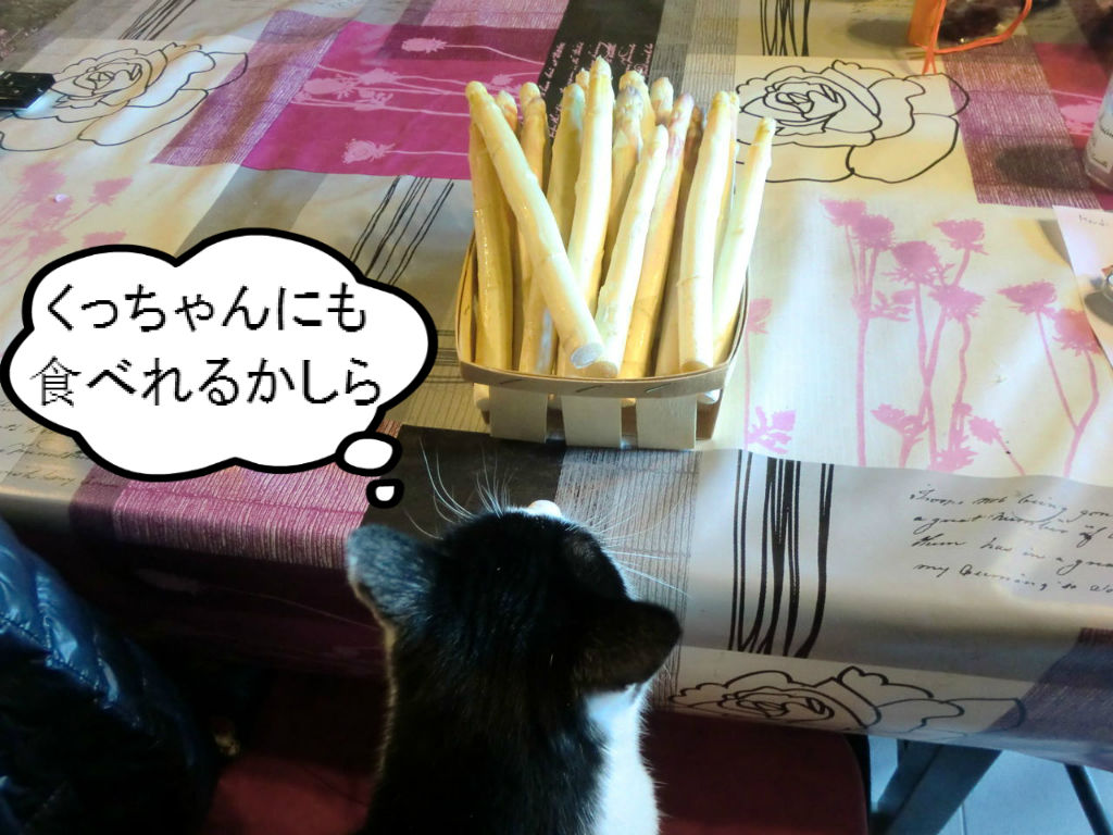 紫アスパラガス ソワレが要らないフランス暮らし 紫アスパラガス ソワレが要らないフランス暮らし