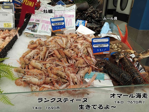マトウダイ 4