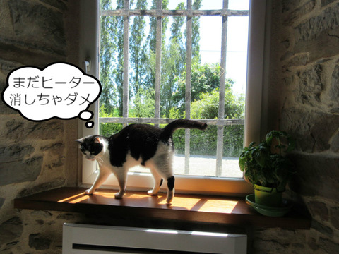 BlogPaint