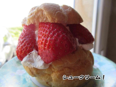 アスパラガス 8
