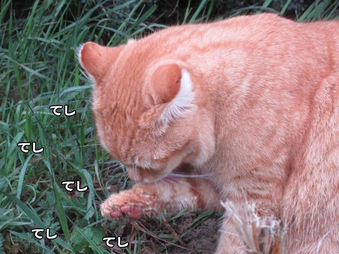 れ~ろ 2