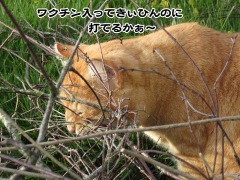 4月5日 8