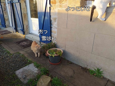 あそぼ 1