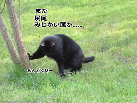 誰やねん 9