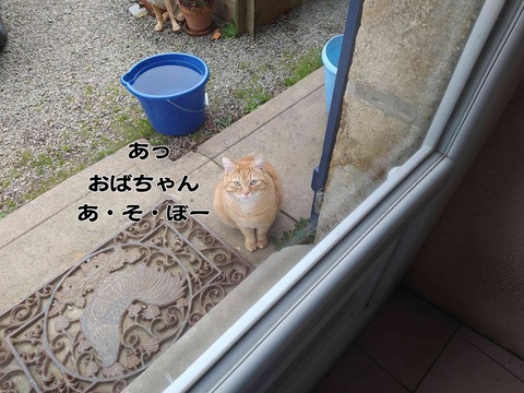 あそぼう 1