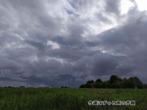 雨が降る 3