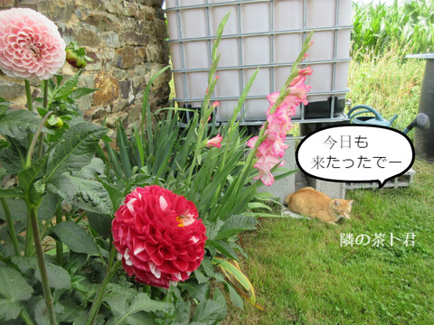 BlogPaint
