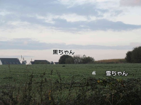泥棒 1