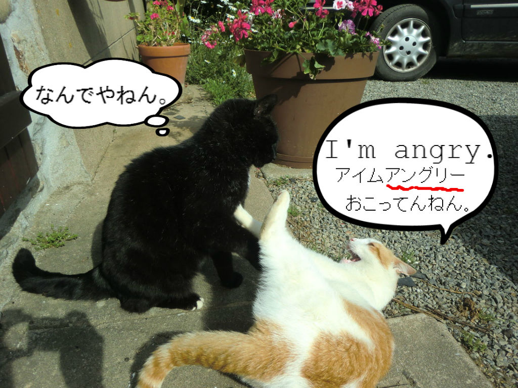 全然違う名前みたいね ソワレが要らないフランス暮らし