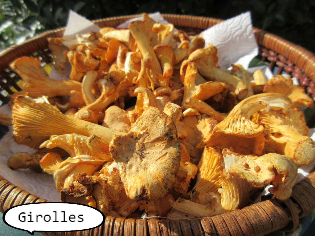 秋です キノコです ソワレが要らないフランス暮らし