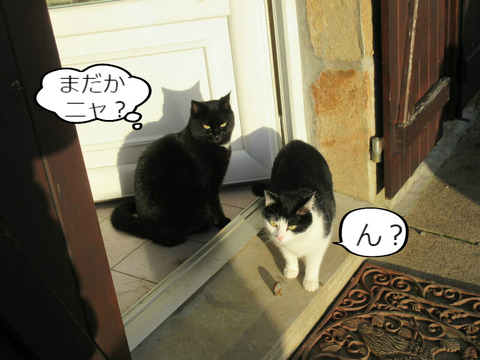 BlogPaint