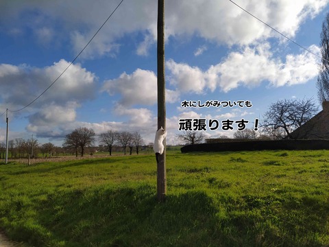 5周年 10