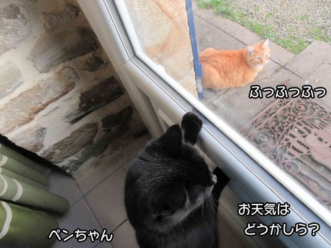 雨　1