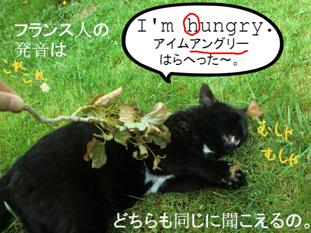 全然違う名前みたいね ソワレが要らないフランス暮らし