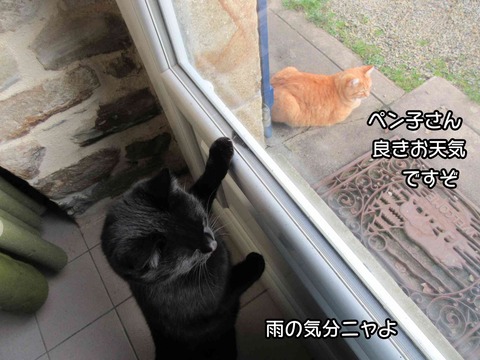 雨　3