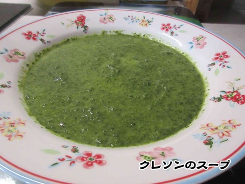 アスパラガス 4