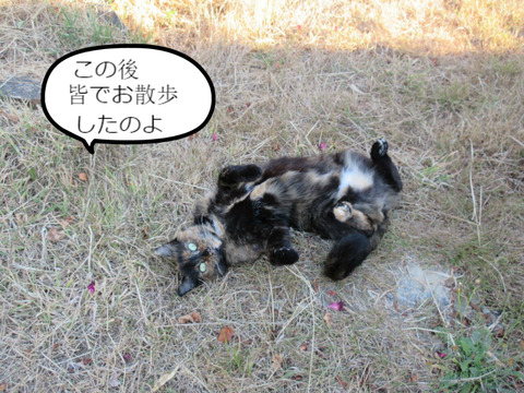 BlogPaint