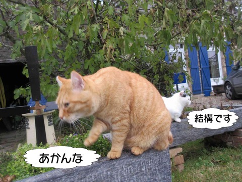 揉める 6