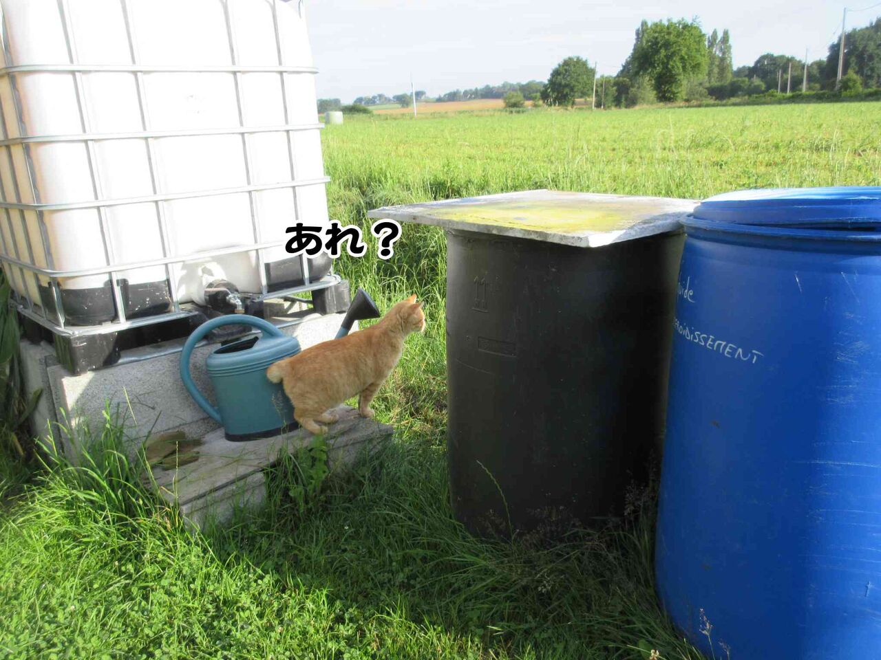 Fちゃんに会ったよ その2 ソワレが要らないフランス暮らし Fちゃんに会ったよ その2 ソワレが要らないフランス暮らし