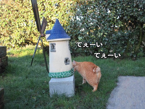 じっとしていられない 2