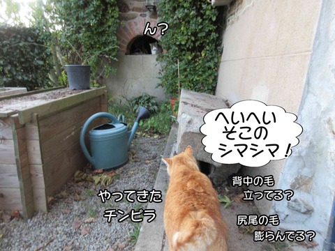 チンピラ 2