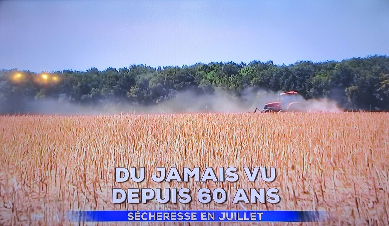 フランス 危険な橋は全体の10 ソワレが要らないフランス暮らし フランス 危険な橋は全体の10 ソワレが要らないフランス暮らし