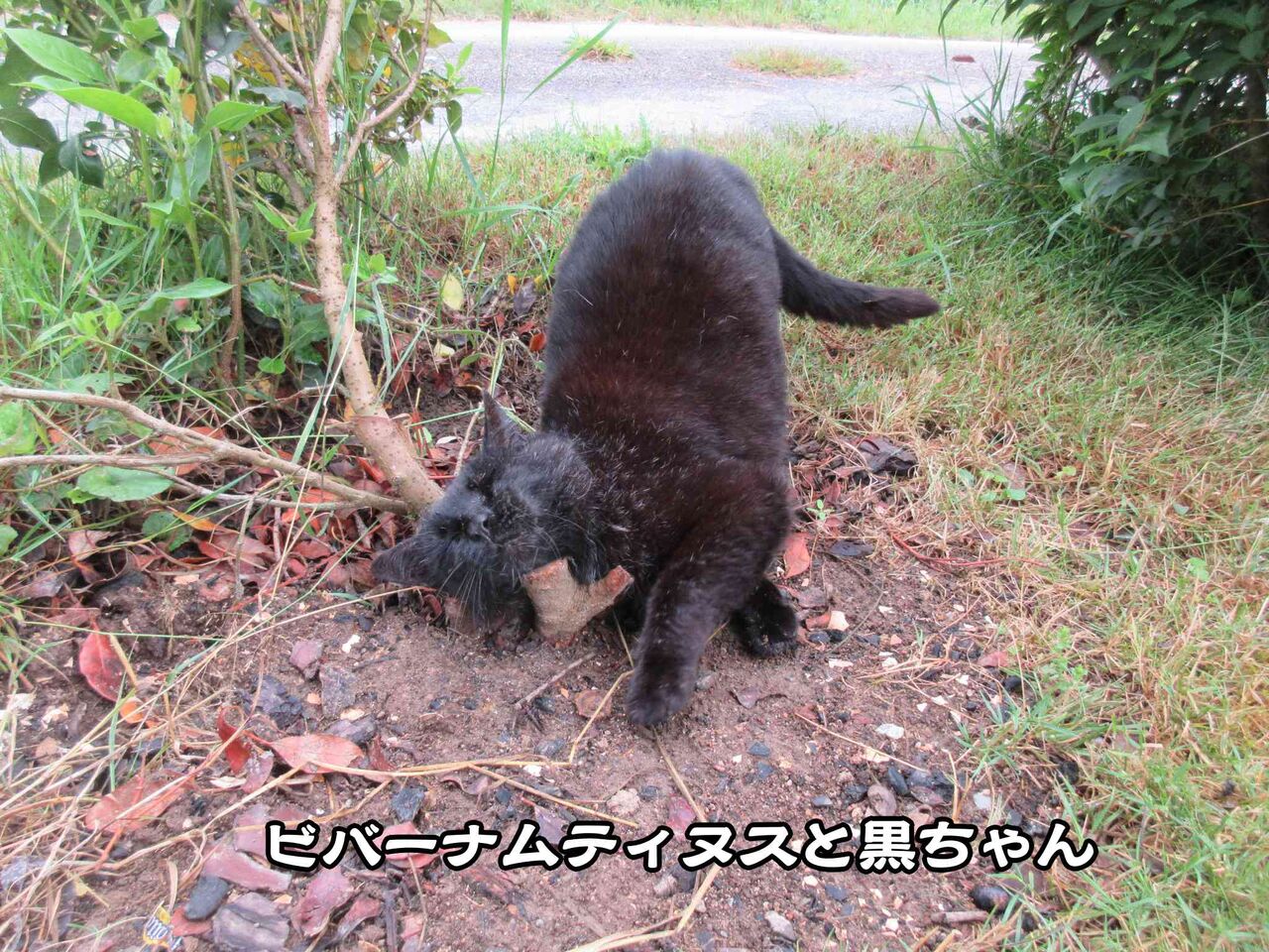 冤罪を晴らしたいオマールさん ソワレが要らないフランス暮らし 冤罪を晴らしたいオマールさん ソワレが要らないフランス暮らし