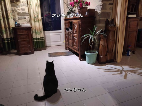 変わってる 1