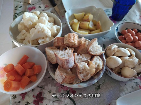 ビーバー 4