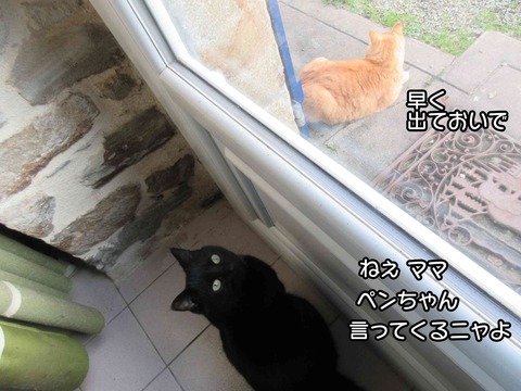 雨　4