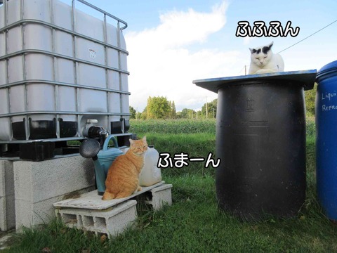 かわって 4
