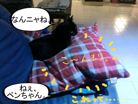 BlogPaint
