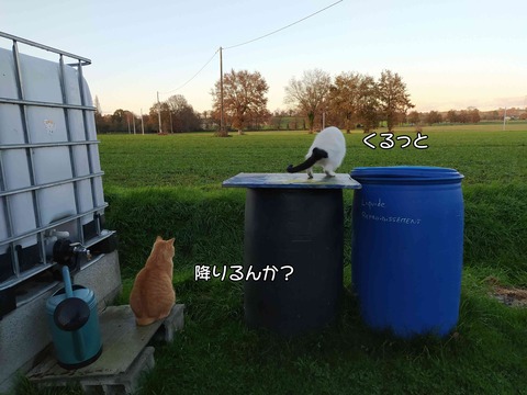 雨 2
