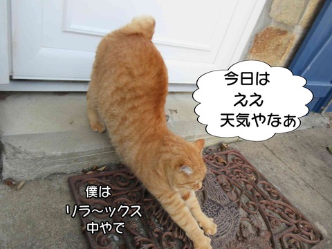 チンピラ 6