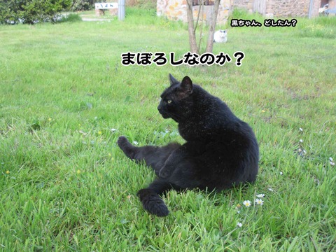 誰やねん 6
