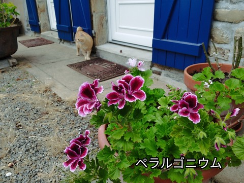 IMG_20260607_225058