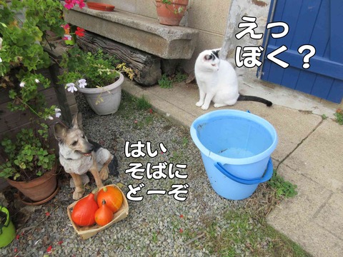 ハロウィン 5