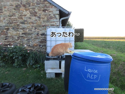 フォンダンショコラ 6