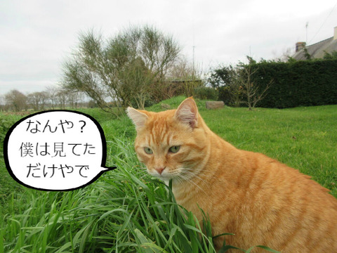 BlogPaint