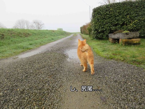 後ろ姿　6