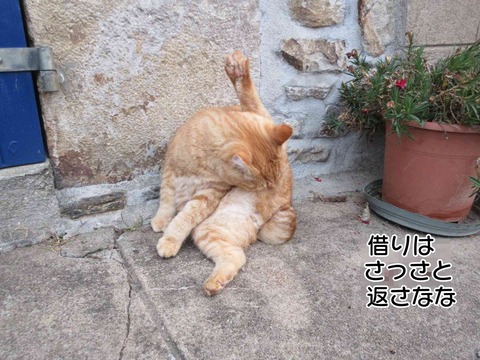 留守 1