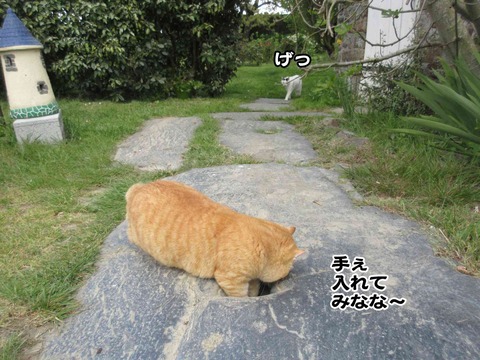暇 2