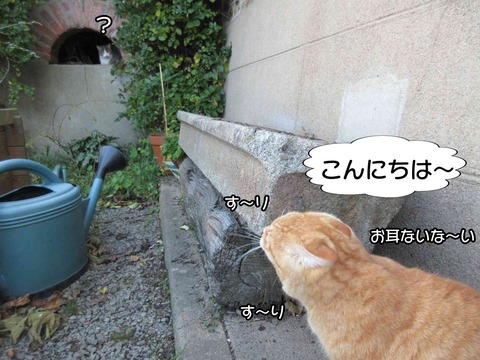 チンピラ 4