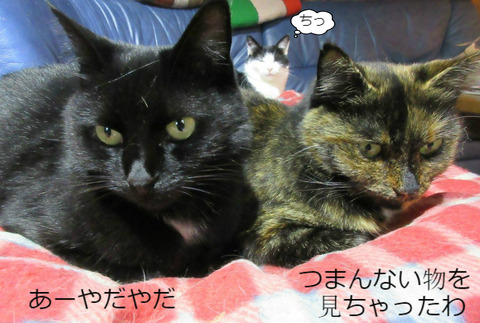 BlogPaint